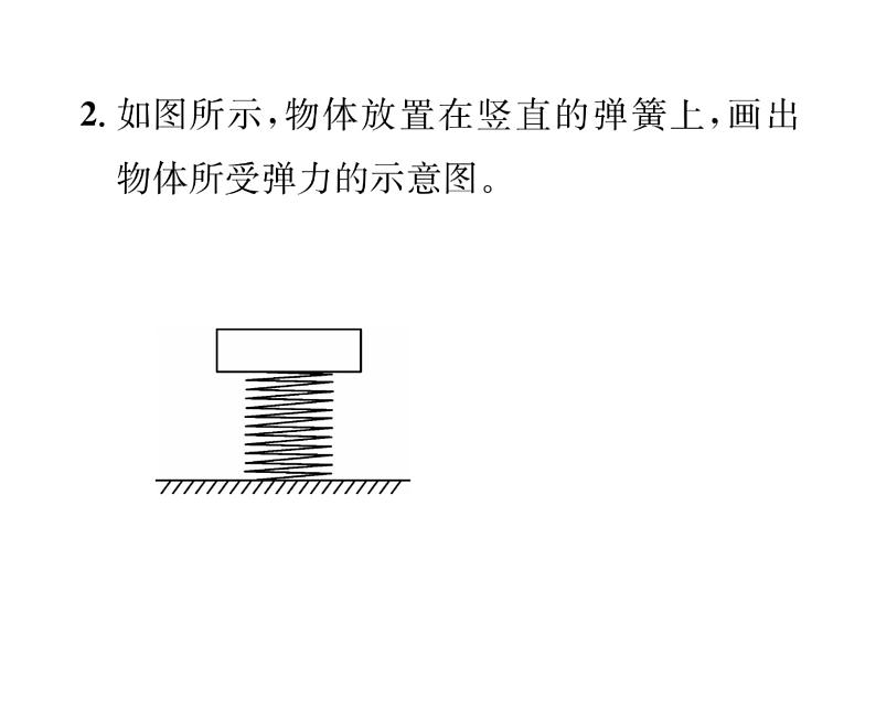 人教版八年级物理下册第7章力小专题一 弹力、重力的作图课时训练课件PPT03