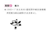人教版八年级物理下册第7章力小专题一 弹力、重力的作图课时训练课件PPT