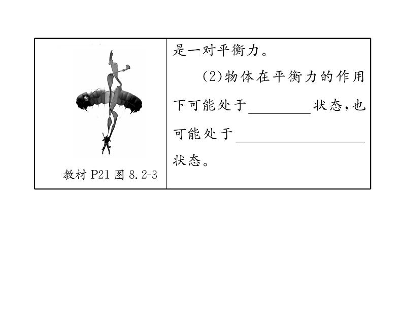 人教版八年级物理下册第8章运动和力第八章整合与提升课时训练课件PPT第6页