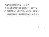 人教版八年级物理下册第10章浮力小专题五 浮力的分析与简单计算课时训练课件PPT