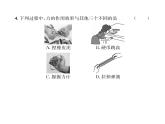 人教版八年级物理下册第7章综合评价课时训练课件PPT