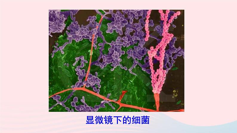 第五章透镜及其应用第5节显微镜和望远镜课件（人教版八上物理）第8页