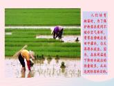 2023九年级物理全册第十三章内能与热机第二课时比热容的计算及应用上课课件新版沪科版