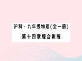 2023九年级物理全册第十四章了解电路综合训练作业课件新版沪科版