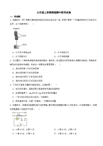 山东省潍坊市2023年九年级上学期物理期中试卷(附答案）