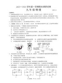 江苏省苏州市高新区2023-2024学年九年级上学期期中考试物理试卷