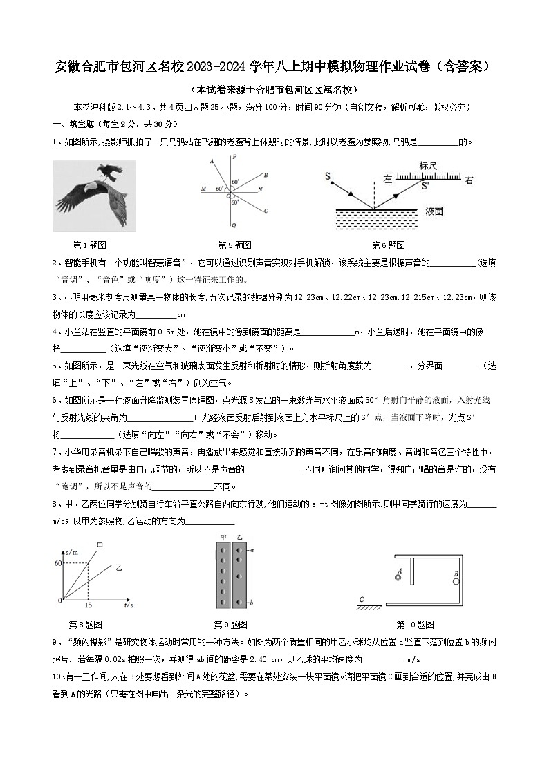 安徽省合肥市2023-2024学年八年级上学期期中模拟预测物理作业试卷01