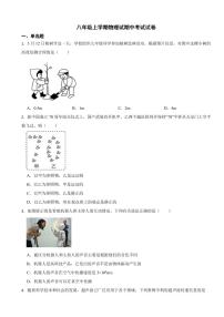 山东省八年级上学期物理试期中考试试卷十套附参考答案