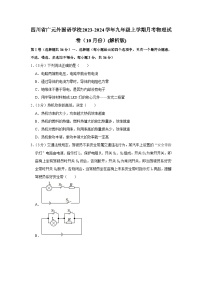 四川省广元外国语学校2023-2024学年九年级上学期月考物理试卷（10月份）