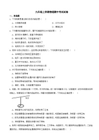 山东省青岛市2023年九年级上学期物理期中考试试卷(附答案）