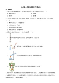 山东省青岛市2023年九年级上学期物理期中考试试题(附答案）