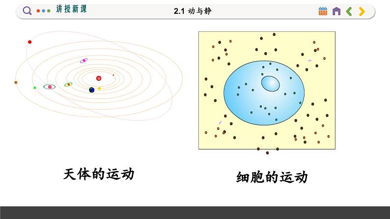 沪科版八年级物理全一册 第二章第一节  动与静课件第5页