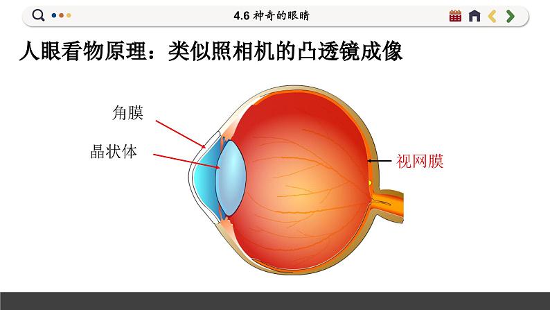 沪科版八年级物理全一册 第四章第六节  神奇的眼睛（第一课时）课件第8页