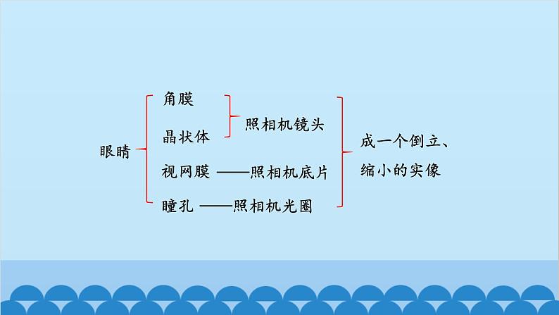 苏科版物理八年级上册 第四章第4节 照相机与眼球 视力的矫正课件07