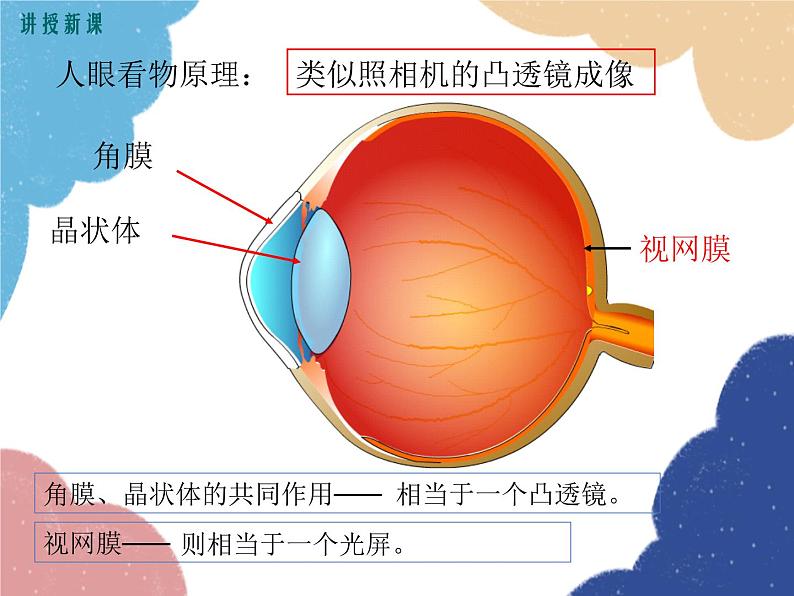 沪科版物理八年级上册 第四章第六节  神奇的眼睛（第一课时）课件第6页