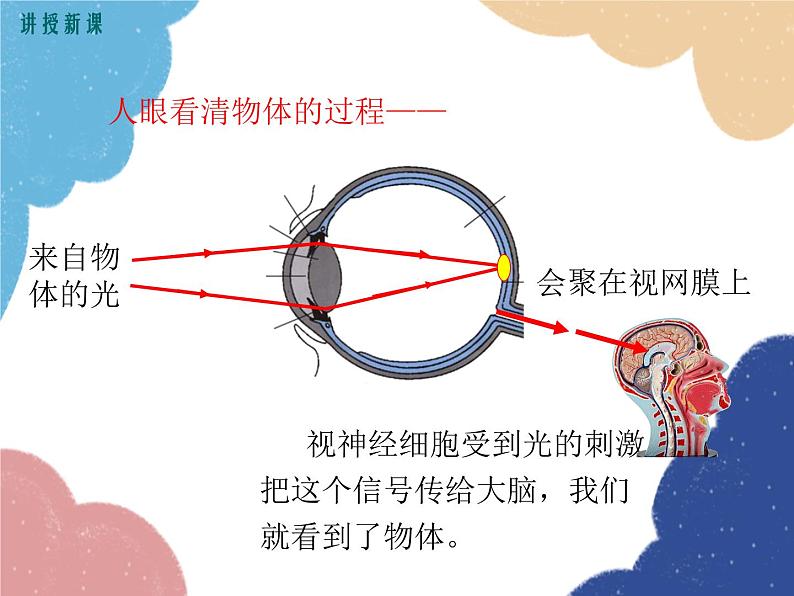 沪科版物理八年级上册 第四章第六节  神奇的眼睛（第一课时）课件第7页