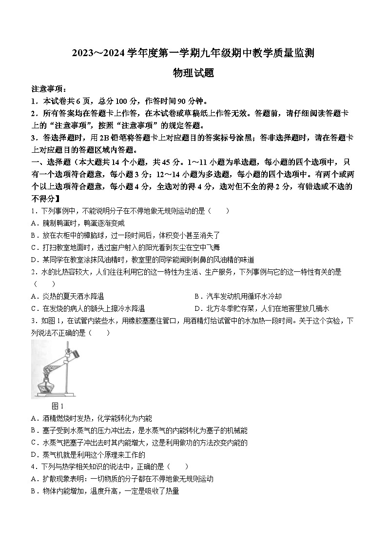 河北省保定市清苑区2023-2024学年九年级上学期11月期中物理试题第1页