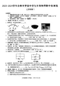 安徽省合肥市高新区梦园中学2023-2024学年九年级上学期期中物理试题