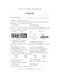 湖北省黄石市阳新县2023-2024学年八年级上学期11月期中物理试题