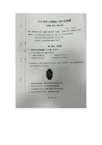 广东省广州市番禺区广东仲元中学附属学校2023-2024学年九年级上学期11月期中物理试题