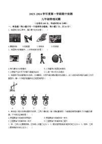 江苏省徐州市2023-2024学年九年级上学期11月期中物理试题