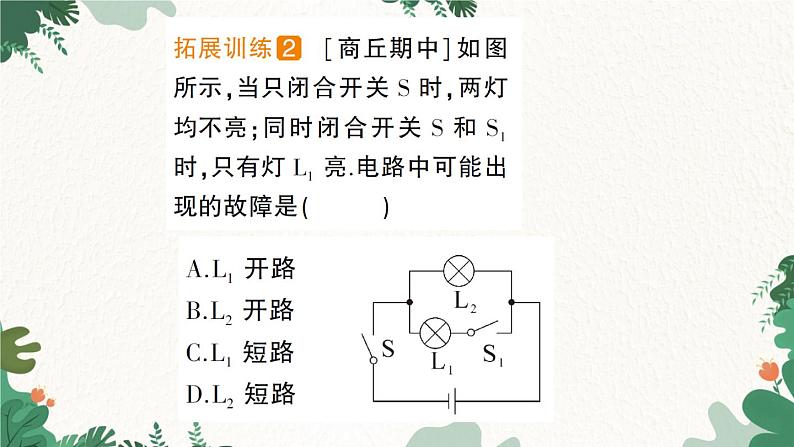 教科版九年级物理 第四章 探究电流习题课件06