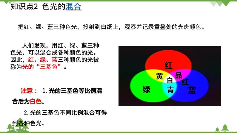 沪科版物理八年级上册 第四章多彩的光复习课件第4页