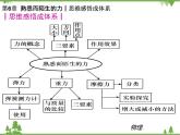 沪科版物理八年级上册 第6章熟悉而陌生的力课件