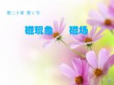 20.1《磁现象 磁场》PPT课件4-九年级物理全一册【人教版】