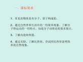 第十三章《内能复习课》PPT课件-九年级物理全一册【人教版】