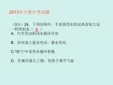 第十三章《内能复习课》PPT课件-九年级物理全一册【人教版】