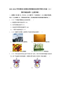 黑龙江省绥化市绥棱县克音河学校2023-2024学年九年级上学期期中物理试卷（五四学制）