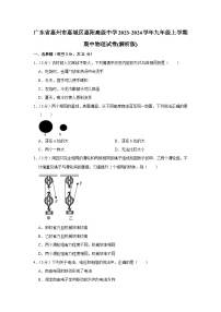 广东省惠州市惠城区惠阳高级中学2023-2024学年九年级上学期期中物理试卷