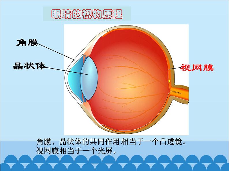 沪科版物理八年级上册 第四章第六节  神奇的眼睛课件第3页