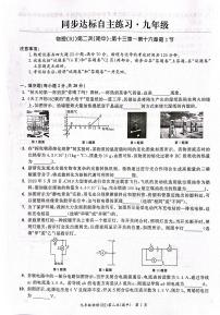 安徽省安庆市桐城市大关区联考2023-2024学年九年级上学期11月期中物理试题