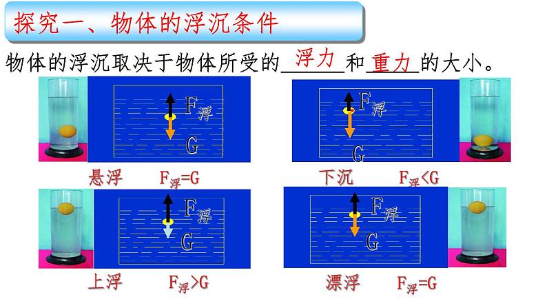 10.3《物体的浮沉条件及应用》PPT课件6-八年级物理下册【人教版】第3页