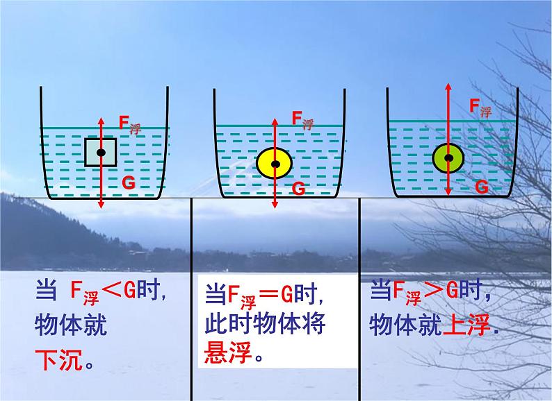 《第3节 物体的浮沉条件及应用》PPT课件1-八年级物理下册【人教版】07