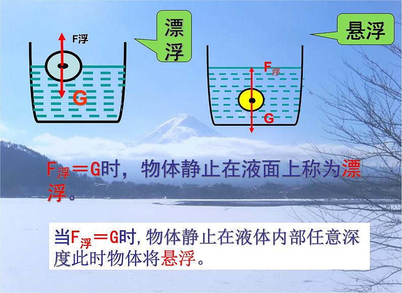 《第3节 物体的浮沉条件及应用》PPT课件1-八年级物理下册【人教版】08