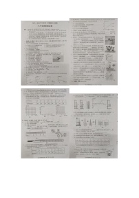 广东省湛江市廉江市第四中学2023-2024学年八年级上学期11月期中物理试题