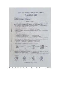 山东省菏泽市成武县2023-2024学年九年级上学期11月期中物理试题