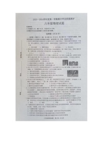 山东省菏泽市成武县2023-2024学年八年级上学期11月期中物理试题