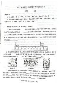 河南省南阳市卧龙区2023-2024学年八年级上学期11月期中物理试题