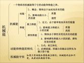 第十一章《功和机械能》复习课PPT课件-八年级物理下册【人教版】