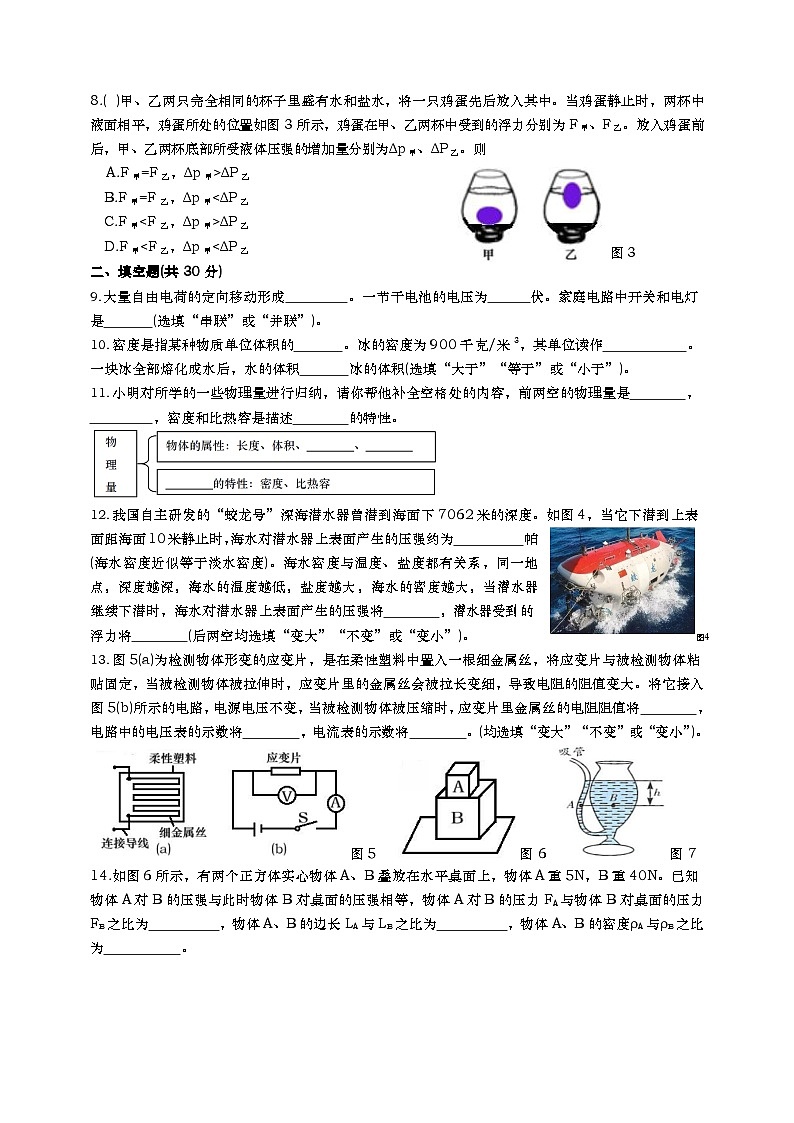 上海市世外中学2023-2024学年九年级上学期期中物理测试卷第2页