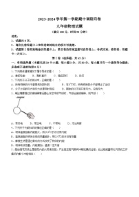 山东省聊城市东阿县2023-2024学年九年级上学期11月期中物理试题