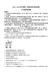 山东省滨州市阳信县2023-2024学年九年级上学期11月期中物理试题