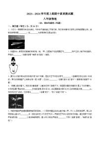 河南省驻马店市泌阳县2023-2024学年八年级上学期11月期中物理试题