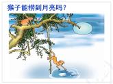 4.3《平面镜成像》PPT课件7-八年级物理上册【人教版】