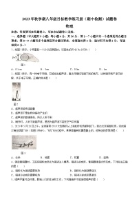 广西壮族自治区梧州市苍梧县2023-2024学年八年级上学期11月期中物理试题