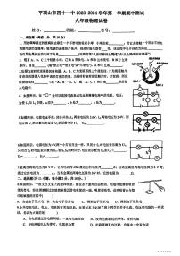 河南省平顶山市四十一中2023-2024学年上学期期中测试九年级物理试卷